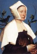 Hans holbein the younger Portrait of a Lady with a Squirrel and a Starling France oil painting artist